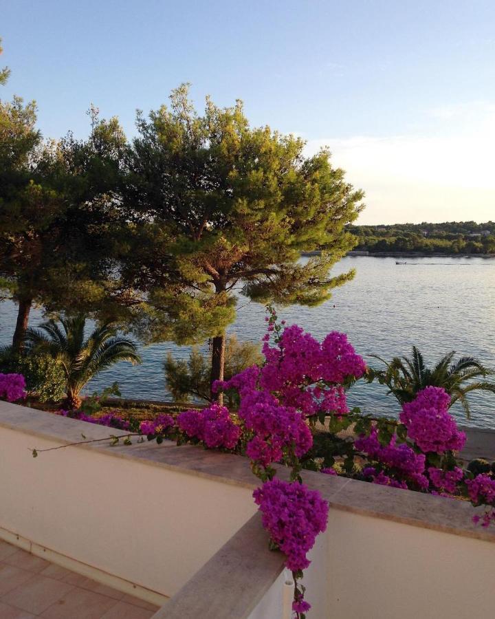 Illyrian Resort มิลนา ภายนอก รูปภาพ